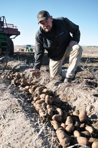 Eric Arnold checks the 2017 seed crop in Felt, Idaho.