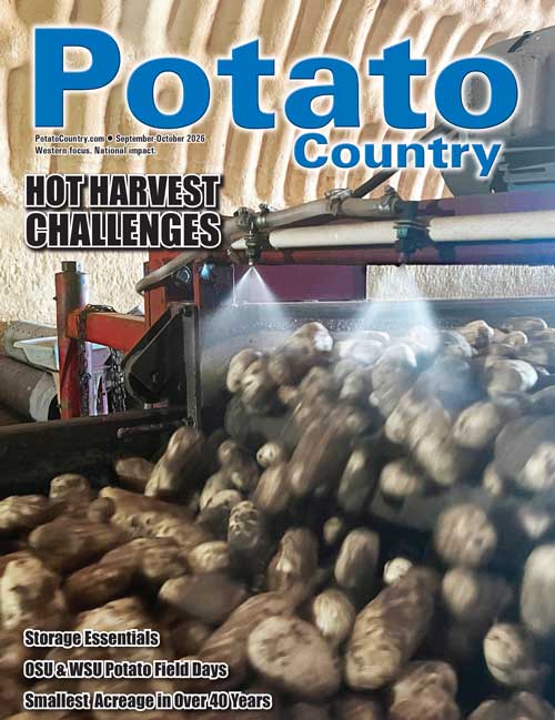 Current Issue