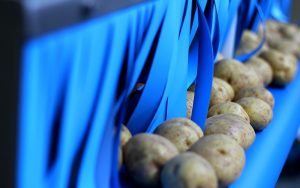 Sorting out foreign material