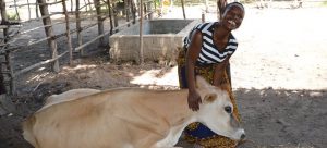 International Development