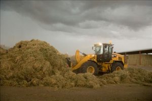 Federal law enforcement