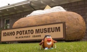 potato museum