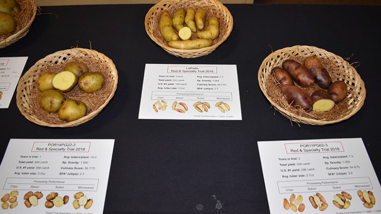 Some of the potato varieties on display at the WA/OR Potato Conference