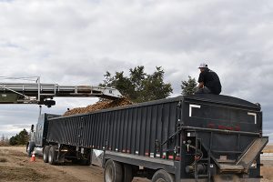 A worker loads spuds into a truck during the 2018 potato harvest at Flying F Inc.
