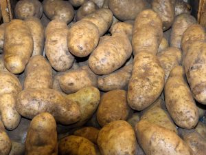 Potatoes in a pile