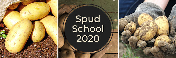 Spud School artwork