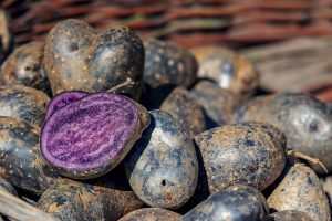 Purple potato