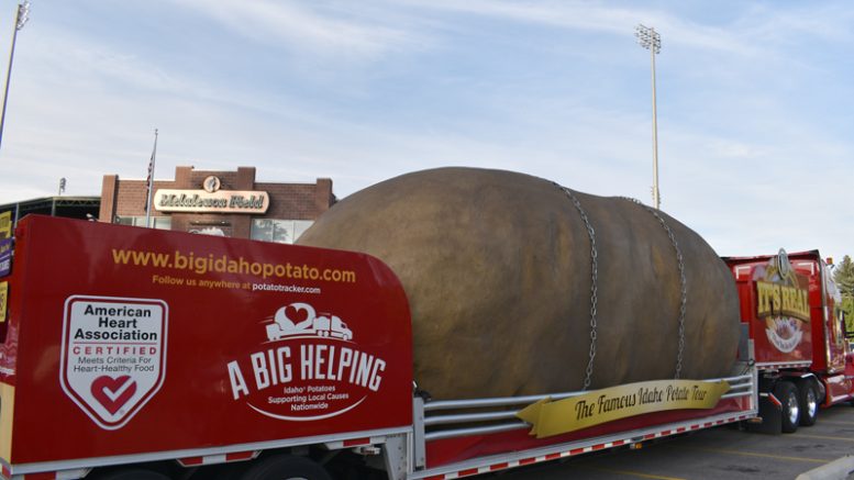 Giant Spuddy Buddy - Idaho Potato Store