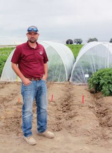 Tim Waters, a WSU regional vegetable specialist, is using cages infested with Lygus bugs and cages kept free of Lygus in a research trial to determine the most critical time to protect potato plants from Lygus infestation.