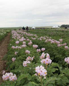 This year’s seed lot trial included 280 seed lot samples.