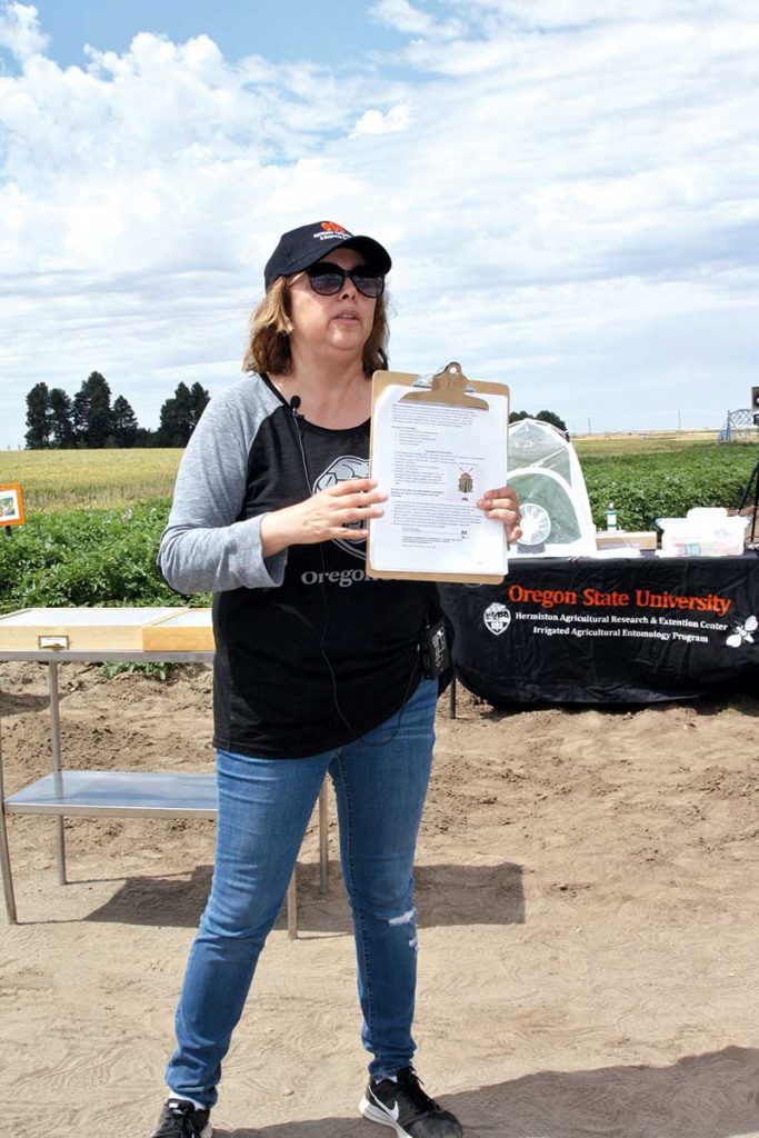OSU entomologist Silvia Rondon updates field day attendees on leafhopper and Colorado potato beetle research. 