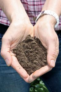 Researchers at Oregon State University are working on several projects designed to improve soil health.