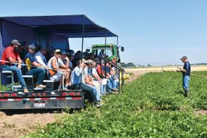 Attendees at the Miller Research Potato Pest Management Field Day inspect test plots as Jeff Miller explains what they are seeing.