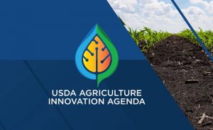 USDA Ag Innovation logo
