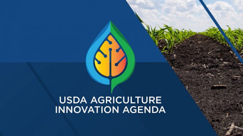 USDA Ag Innovation logo