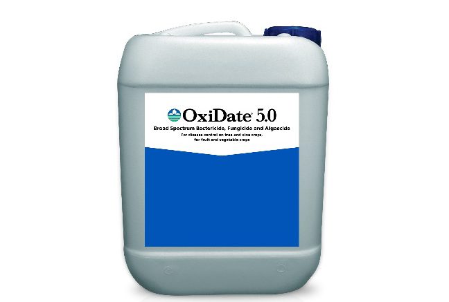 Jug of OxiDate 5.o fungicide and bactericide.
