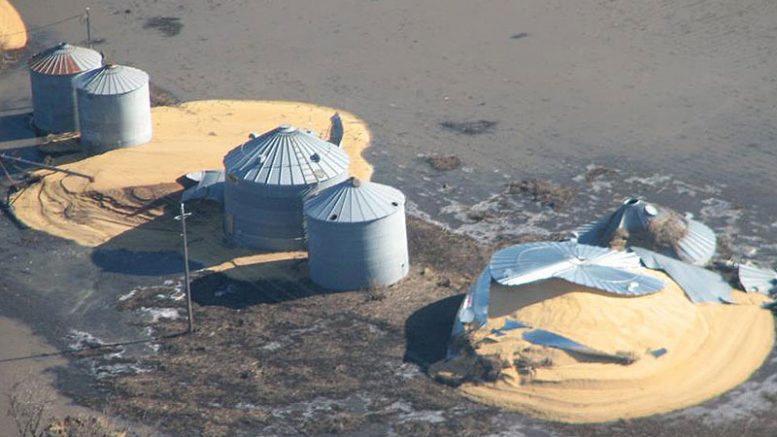 When farmers have advance notice that river levels are high, and there may be flooding, they can take precautions. In 2019, there was no advance notice. Shown, overflowing grain bins from grain that absorbed floodwater bursting through the bin. Credit: John Wilson