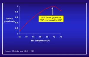 Figure 4. Relationship between soil temperature and sprout growth rate.