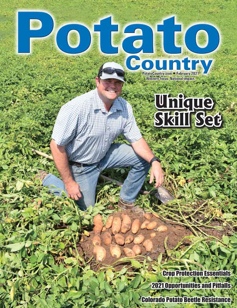 Maine Potato Dealer List Potato Country