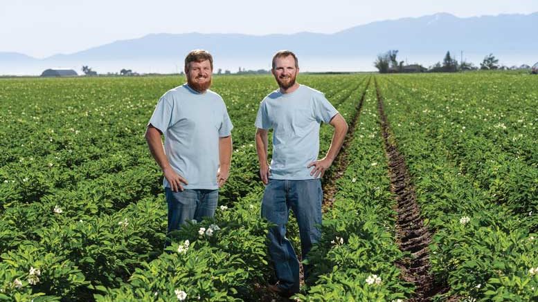Brothers Clay and Tyler Mitchell farm 1,000 acres of potatoes in Monte Vista, Colo., where water is in short supply.