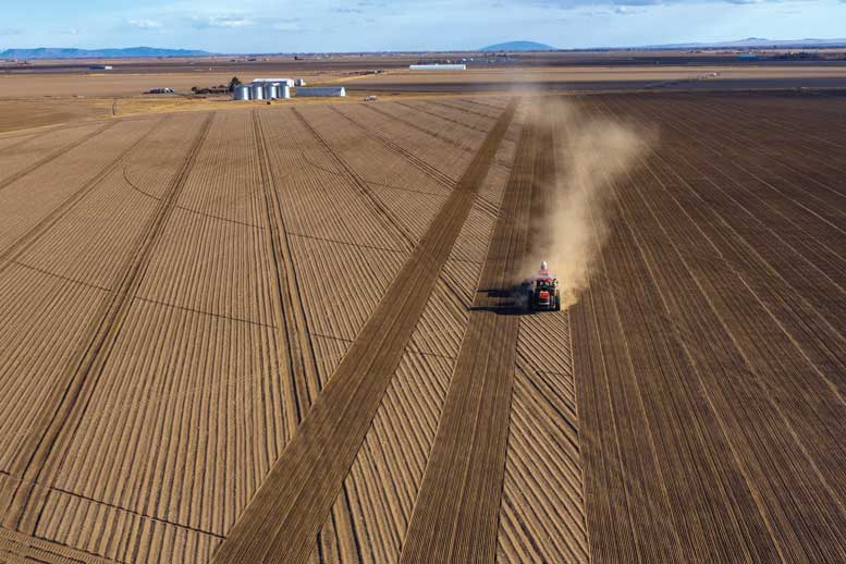 Mike Mitchell Farms planted 360 acres of quinoa in 2021, but has planted as many as 750 acres. Photo courtesy SkyDeadPixel