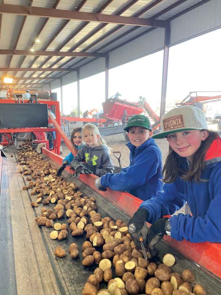 Pictured from left, Sophia, Kenley, Parker and Madeline Mitchell help sort seed during planting. Photo courtesy Clay Mitchell