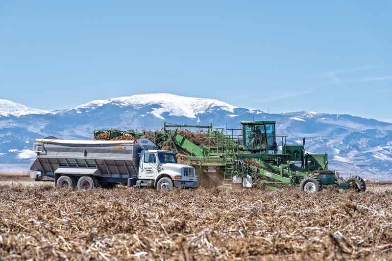 Tyler Mitchell runs the harvester at Mike Mitchell Farms in Colorado’s San Luis Valley, located at an elevation of 7,600 feet and surrounded by 14,000-foot mountains. Photo courtesy Vibrant Valley Photography
