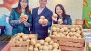 Potatoes on display at Potato USA's booth in China.