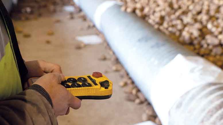 A cellar manager operates the piler at Wanders Farms in Wilder, Idaho.