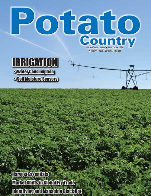Current Issue